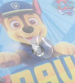 Coppia tendine auto laterali 