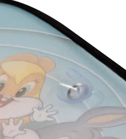 Coppia tendine auto laterali 