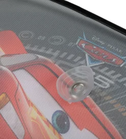 Coppia tendine auto laterali 