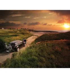 Portabiciclette per gancio traino 