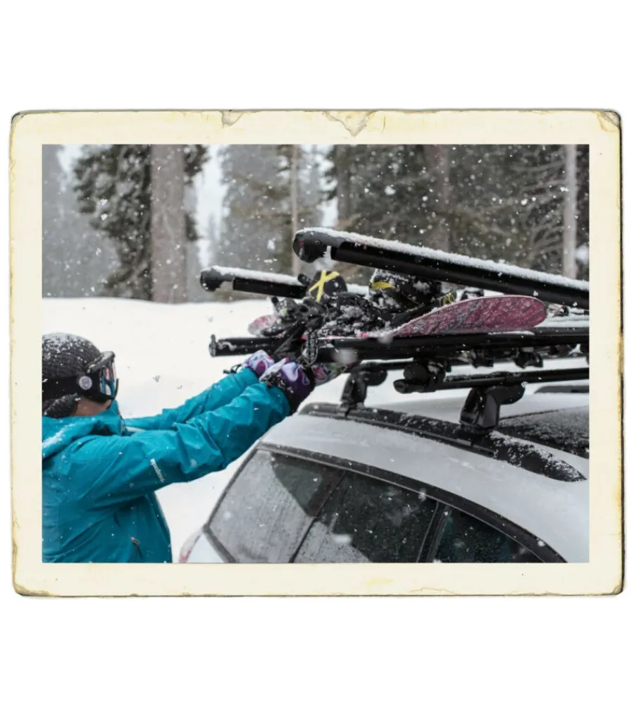 Portasci per barre da tetto "fatcat 6 evo black" - y8003076>Yakima Discount