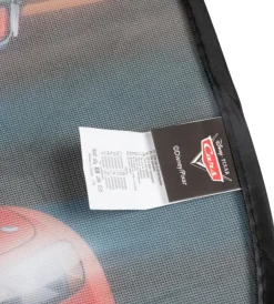 Tendina auto laterale maxi grafica 